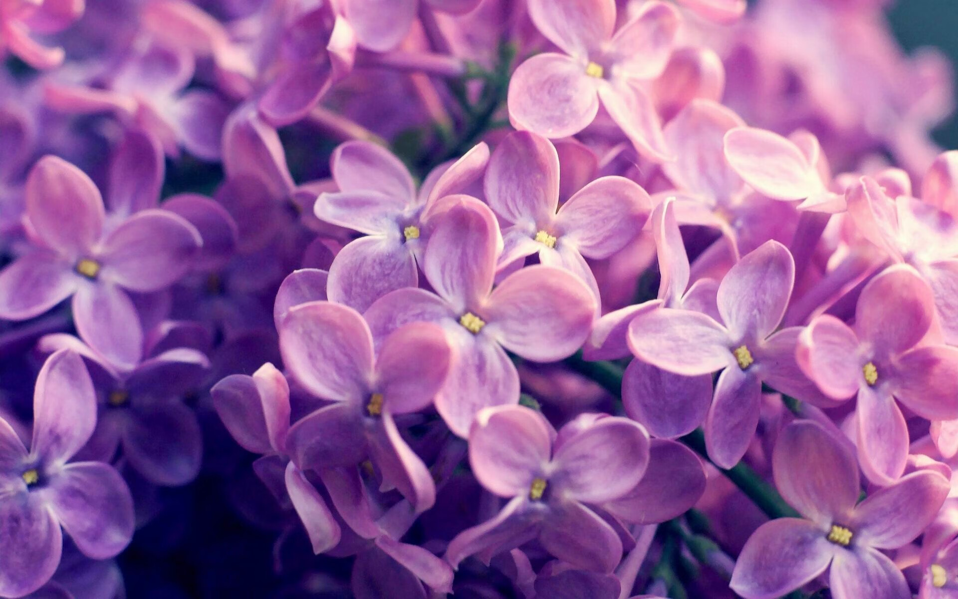 九游APP-山东高速 主场优势明显，山东高速布局