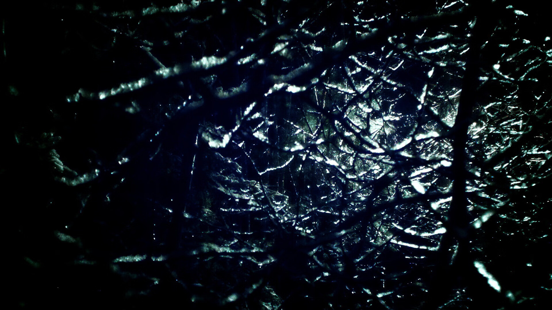 张三加盟球队,备战新赛季CBA联赛,张三叫啥