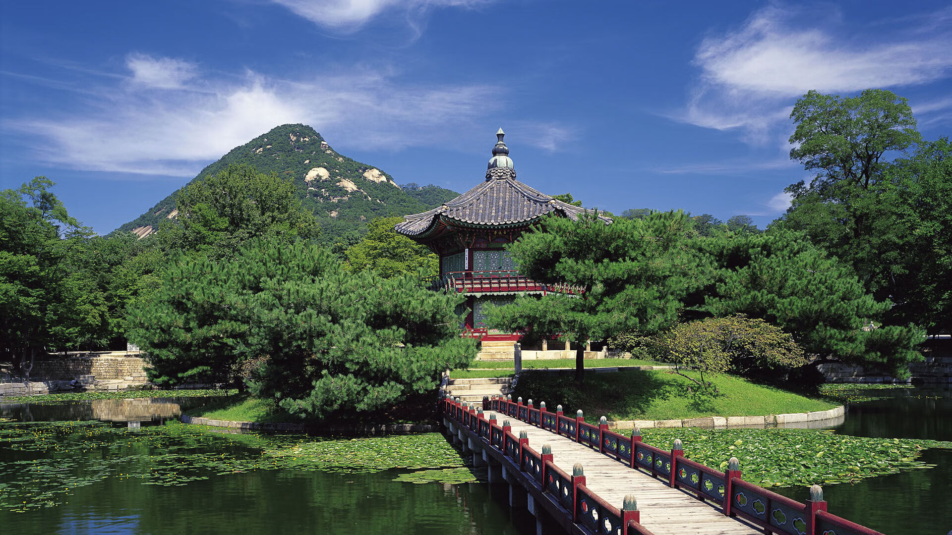 九游娱乐-比赛数据实时更新，满足球迷需求，足球比赛数据提供的app