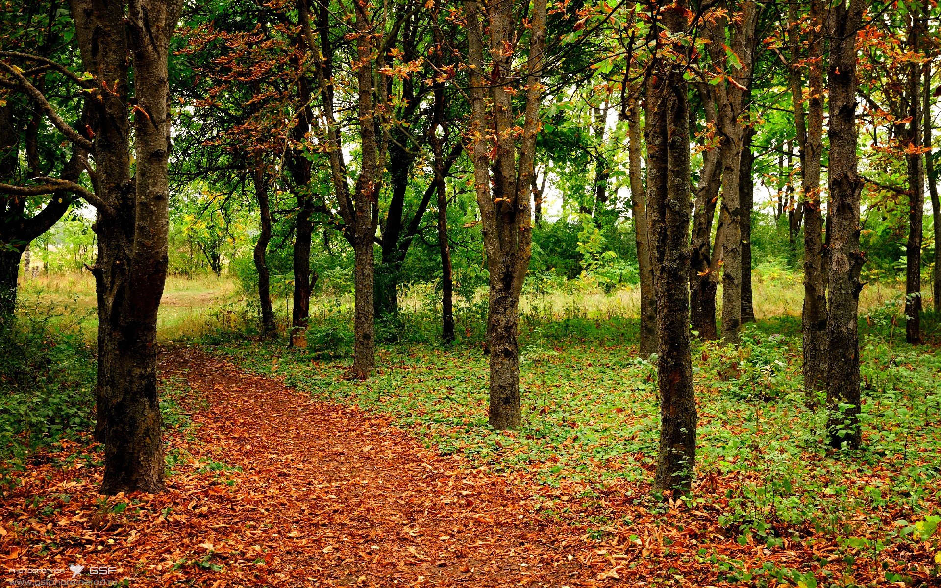 九游娱乐官网-澳大利亚青年球员快速成长，澳大利亚篮球球员