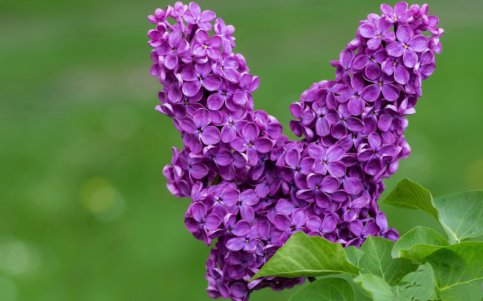 九游体育网页入口-热火队新援表现低迷！遭受批评！，热火队新主场