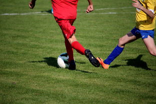 九游app下载-世界男子排球联赛意大利主场折桂，意大利男子排球联赛直播