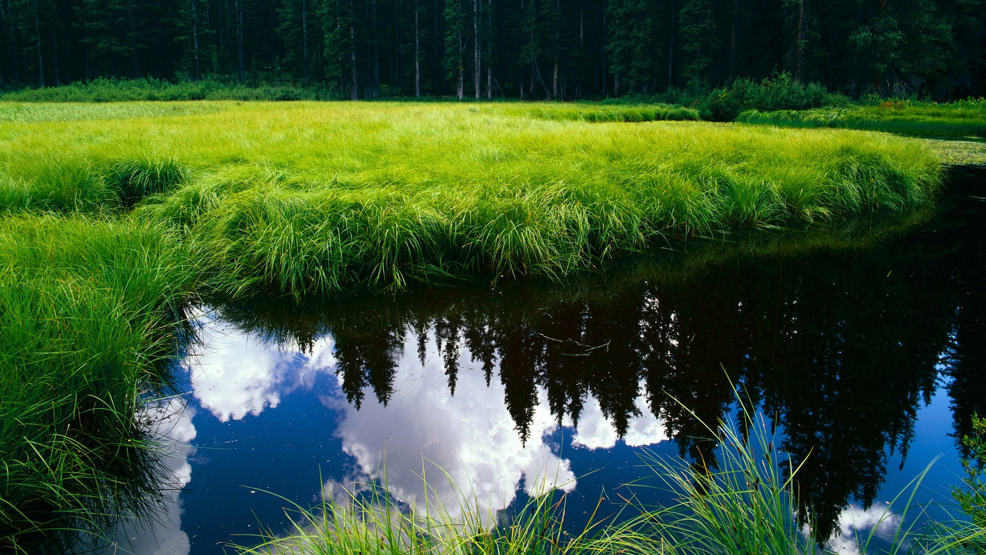 国足门前站位与拦截成功率关系，足球比赛开始前守门对方需要站在多少