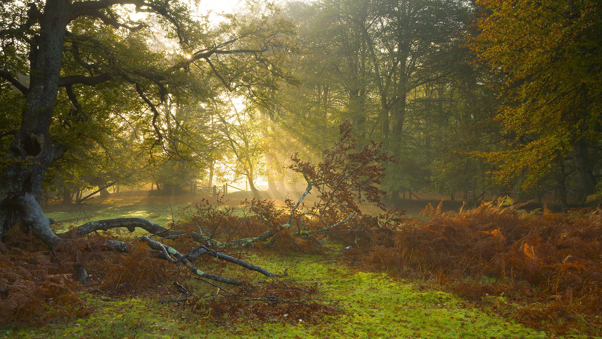 九游娱乐官方平台-中超联赛球队实力持续增强，中超联赛足球队