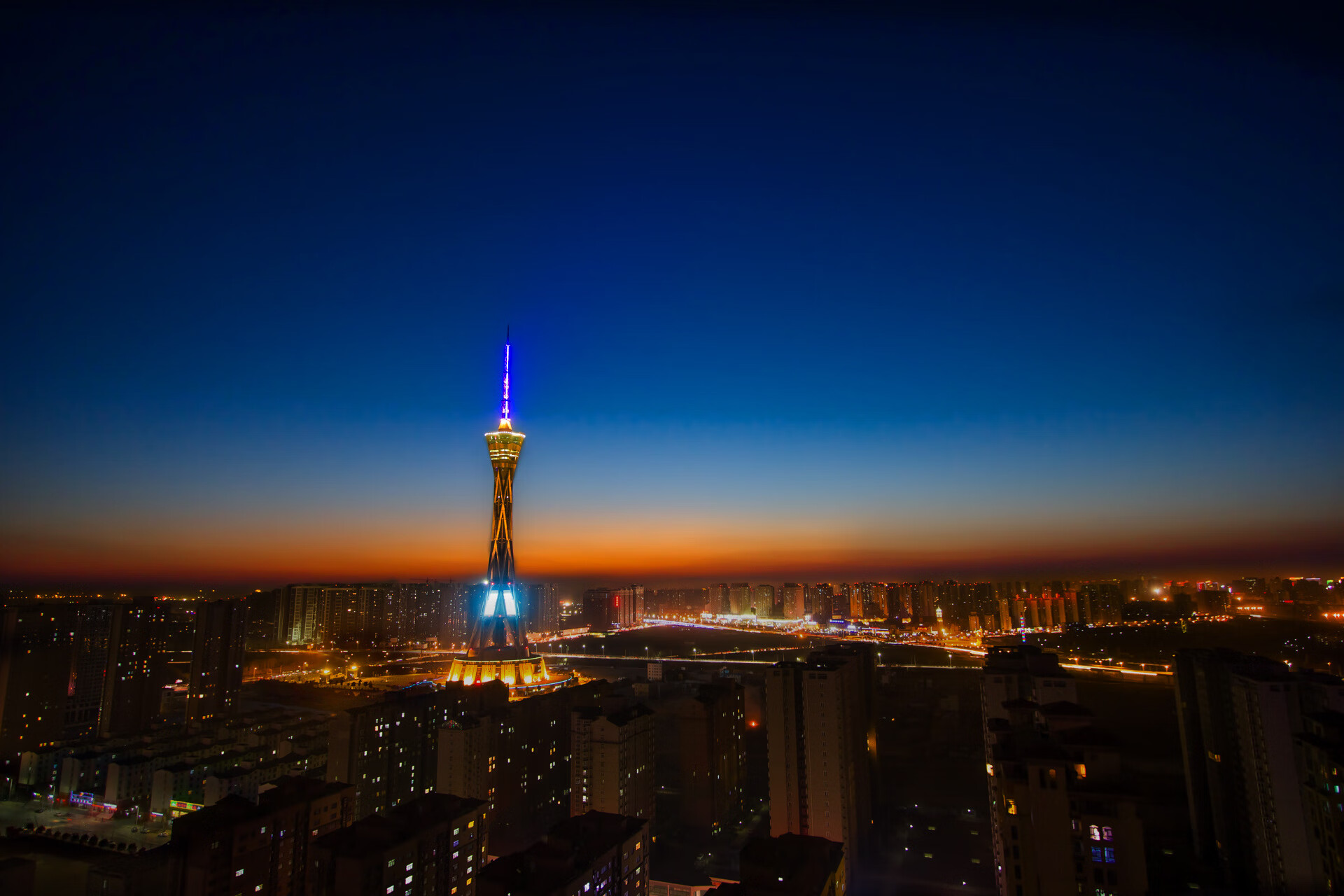 张伟丽表示将用行动回应外界期待,张伟丽最新消息回国了吗