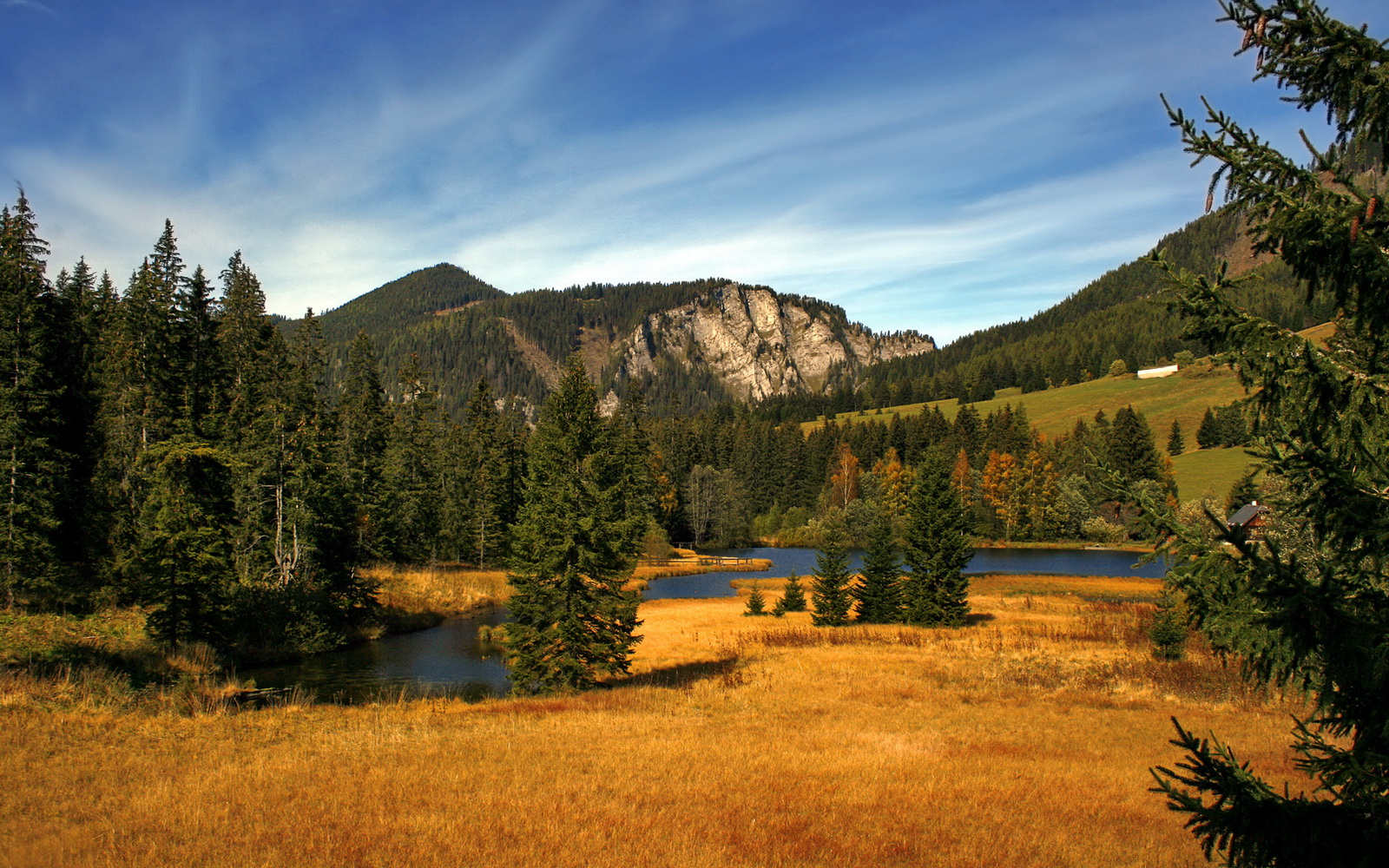 爵士近五场比赛抢断数联盟第一,爵士队连胜